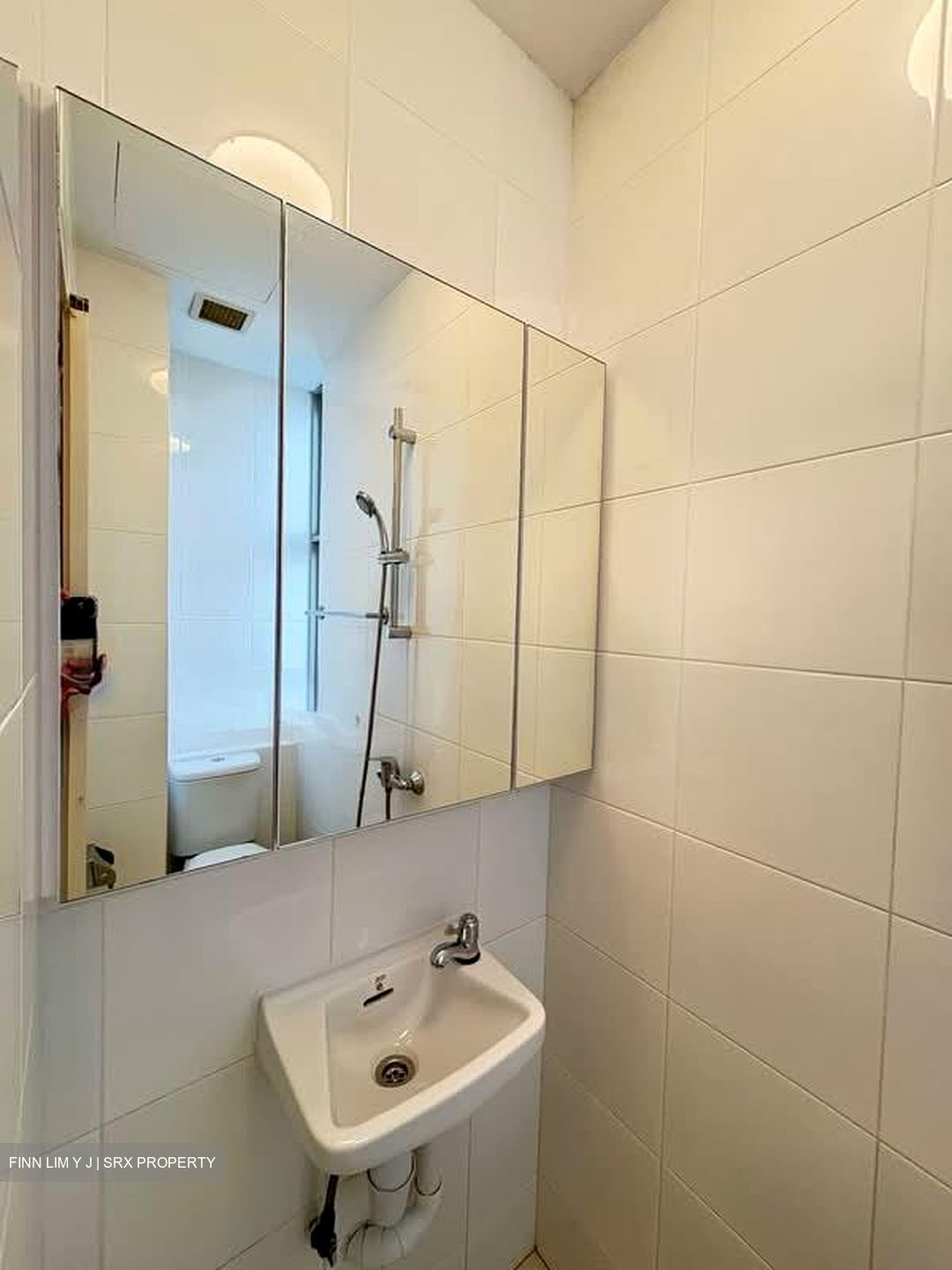 Nassim Regency (D10), Condominium #578764821